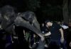 Gelar Trial Opening Surabaya Night Zoo, Eri Cahyadi Sangat Takjub Gelar Trial Opening Surabaya Night Zoo, Eri Cahyadi Sangat Takjub