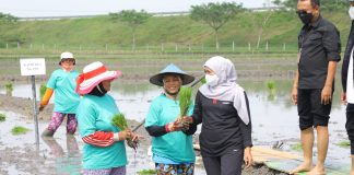 Sensus Pertanian 2023 Dimulai 1 Juni, Gubernur Khofifah Optimis Hasil Data Akurat Akan Jadi Acuan Kebijakan yang Tepat Sensus Pertanian 2023 Dimulai 1 Juni, Gubernur Khofifah Optimis Hasil Data Akurat Akan Jadi Acuan Kebijakan yang Tepat