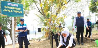 Lawan Perubahan Iklim, Gubernur Khofifah Gencarkan Aksi Tanam Pohon Lawan Perubahan Iklim, Gubernur Khofifah Gencarkan Aksi Tanam Pohon