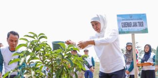 Di Puncak Peringatan Hari Lingkungan Hidup Dunia di Jatim, Gubernur Khofifah Ajak Masyarakat Gencar Lakukan 3R dan Jaga Kelestarian Hutan Di Puncak Peringatan Hari Lingkungan Hidup Dunia di Jatim, Gubernur Khofifah Ajak Masyarakat Gencar Lakukan 3R dan Jaga Kelestarian Hutan