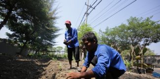 Dinsos Surabaya Berdayakan Penghuni Liponsos Keputih Tanam Sayuran Hingga Membatik Dinsos Surabaya Berdayakan Penghuni Liponsos Keputih Tanam Sayuran Hingga Membatik