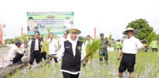 Bersama Menteri Pertanian RI Panen dan Tanam Padi di Tuban, Gubernur Khofifah Ajak Wujudkan Kedaulatan Pangan Indonesia Bersama Menteri Pertanian RI Panen dan Tanam Padi di Tuban, Gubernur Khofifah Ajak Wujudkan Kedaulatan Pangan Indonesia