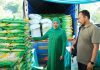 Bagikan Telur Untuk Balita dan Zakat Produktif Bagi Pelaku Usaha Ultra Mikro di Jember, Gubernur Khofifah Pastikan Harga Bapok di Jatim Stabil dan Stoknya Aman Terkendali Bagikan Telur Untuk Balita dan Zakat Produktif Bagi Pelaku Usaha Ultra Mikro di Jember, Gubernur Khofifah Pastikan Harga Bapok di Jatim Stabil dan Stoknya Aman Terkendali (foto : ist)