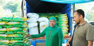 Bagikan Telur Untuk Balita dan Zakat Produktif Bagi Pelaku Usaha Ultra Mikro di Jember, Gubernur Khofifah Pastikan Harga Bapok di Jatim Stabil dan Stoknya Aman Terkendali Bagikan Telur Untuk Balita dan Zakat Produktif Bagi Pelaku Usaha Ultra Mikro di Jember, Gubernur Khofifah Pastikan Harga Bapok di Jatim Stabil dan Stoknya Aman Terkendali (foto : ist)