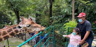 15 Ribu Wisatawan Kunjungi Kebun Binatang Surabaya di Hari Kedua Lebaran 15 Ribu Wisatawan Kunjungi Kebun Binatang Surabaya di Hari Kedua Lebaran