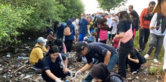 Bersatu untuk Alam: Mercure Surabaya Grand Mirama dan Tunas Hijau Bersih-Bersih di Mangrove Tambak Wedi Sambut Hari Lingkungan Hidup Bersatu untuk Alam: Mercure Surabaya Grand Mirama dan Tunas Hijau Bersih-Bersih di Mangrove Tambak Wedi Sambut Hari Lingkungan Hidup (foto : ist)