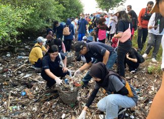 Bersatu untuk Alam: Mercure Surabaya Grand Mirama dan Tunas Hijau Bersih-Bersih di Mangrove Tambak Wedi Sambut Hari Lingkungan Hidup Bersatu untuk Alam: Mercure Surabaya Grand Mirama dan Tunas Hijau Bersih-Bersih di Mangrove Tambak Wedi Sambut Hari Lingkungan Hidup (foto : ist)