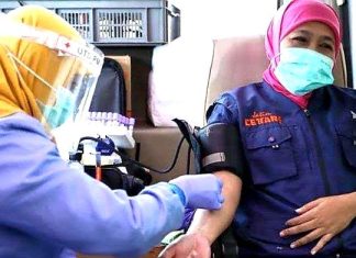 Di Momen Hari Donor Darah Sedunia 2024, Khofifah Apresiasi Pendonor Darah Diseluruh Dunia Di Momen Hari Donor Darah Sedunia 2024, Khofifah Apresiasi Pendonor Darah Diseluruh Dunia (foto : ist)