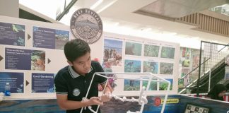 Prihatin Kondisi Bawah Laut, Samuel Ingin Jaga Lingkungan Lewat Reef Revival Coral Restoration Samuel Putra Sentosa, anak muda Surabaya peduli kelestarian alam bawah laut (dokpri)