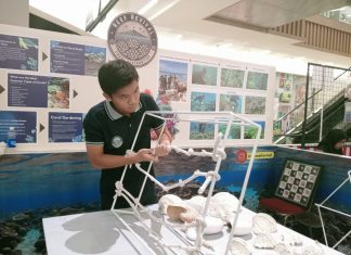 Prihatin Kondisi Bawah Laut, Samuel Ingin Jaga Lingkungan Lewat Reef Revival Coral Restoration Samuel Putra Sentosa, anak muda Surabaya peduli kelestarian alam bawah laut (dokpri)