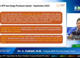 Bulan September 2024, Nilai Tukar Petani Jawa Timur Alami Penurunan Sebesar 0,33 Persen
