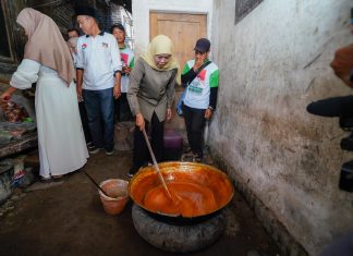 Sambangi Rumah Industri Gula Merah di Candipuro Lumajang, Khofifah Siap Fasilitasi Replanting Kelapa Hibrida Sambangi Rumah Industri Gula Merah di Candipuro Lumajang, Khofifah Siap Fasilitasi Replanting Kelapa Hibrida (foto : ist)