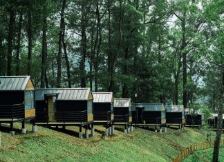Rekomendasi Liburan Akhir Tahun di Bobocabin Coban Rondo, Aktivitas Seru di Alam Terbuka