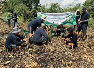 Telkomsel Jaga Bumi Perkuat Implementasi ESG, Kembali Tanam 10.600 Mangrove untuk Kurangi Emisi Karbon Telkomsel Jaga Bumi Perkuat Implementasi ESG, Kembali Tanam 10.600 Mangrove untuk Kurangi Emisi Karbon (foto : ist)