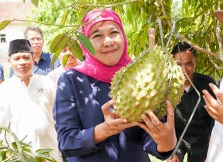 Jatim Penghasil Durian Terbesar di Indonesia, Khofifah Targetkan Pasar Global
