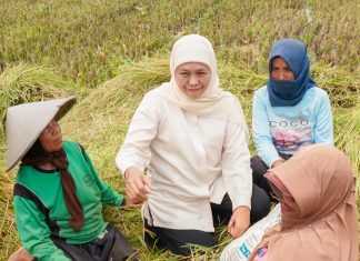 Jatim Provinsi Penghasil Beras Tertinggi di Indonesia Konsisten Sejak 2020- 2024, Khofifah Pastikan Siap Dukung Swasembada Pangan Nasional