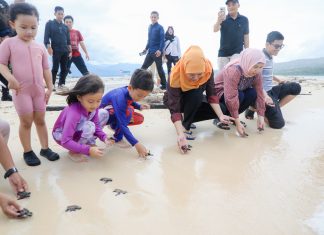 Gubernur Khofifah Lepas Puluhan Tukik di Pulau Tabuhan Banyuwangi, Ajak Masyarakat Galakkan Konservasi Penyu di Jatim Gubernur Khofifah Lepas Puluhan Tukik di Pulau Tabuhan Banyuwangi, Ajak Masyarakat Galakkan Konservasi Penyu di Jatim (foto : ist)