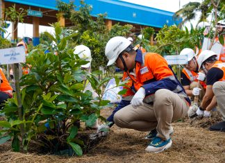 Lanjutkan ESG Journey dan Transformasi, TPS Ajak Pelanggan & Pemangku Kepentingan Menanam Pohon Buah Lanjutkan ESG Journey dan Transformasi, TPS Ajak Pelanggan & Pemangku Kepentingan Menanam Pohon Buah (foto : ist)