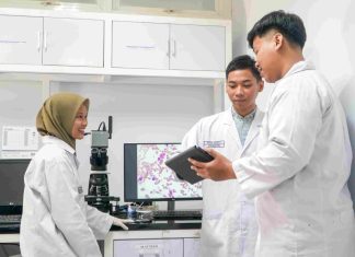 Peringkat Riset dan Inovasi Scimago 2025: Unusa Lampaui Sejumlah Kampus Bergengsi Peringkat Riset dan Inovasi Scimago 2025: Unusa Lampaui Sejumlah Kampus Bergengsi (foto : ist)