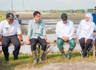 Dampingi Wapres RI Tanam Padi Dan Tinjau Pabrik Beras di Ngawi, Gubernur Khofifah Tunjukkan Keunggulan Produktivitas Padi Ngawi Dampingi Wapres RI Tanam Padi Dan Tinjau Pabrik Beras di Ngawi, Gubernur Khofifah Tunjukkan Keunggulan Produktivitas Padi Ngawi (foto : ist)