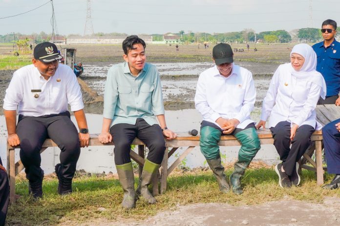 Dampingi Wapres RI Tanam Padi Dan Tinjau Pabrik Beras di Ngawi, Gubernur Khofifah Tunjukkan Keunggulan Produktivitas Padi Ngawi (foto : ist) Dampingi Wapres RI Tanam Padi Dan Tinjau Pabrik Beras di Ngawi, Gubernur Khofifah Tunjukkan Keunggulan Produktivitas Padi Ngawi (foto : ist)