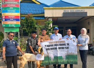 Perayaan Idul Adha 1446 H, Bogasari Bagikan 66 Hewan Kurban Perayaan Idul Adha 1446 H, Bogasari Bagikan 66 Hewan Kurban (foto : ist)