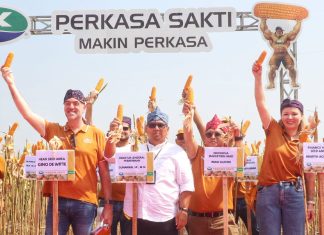 Syngenta Luncurkan NK Perkasa Sakti Untuk Antisipasi Musim Kering Syngenta Luncurkan NK Perkasa Sakti Untuk Antisipasi Musim Kering (foto : ist)