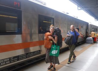 34.533 Wisatawan Asing Gunakan Kereta Api, KAI Daop 8 Surabaya Dukung Wisata Jawa Timur Mendunia 34.533 Wisatawan Asing Gunakan Kereta Api, KAI Daop 8 Surabaya Dukung Wisata Jawa Timur Mendunia (foto : ist)
