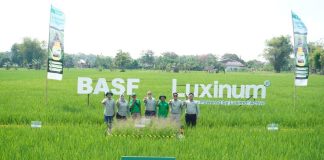 BASF Indonesia Luncurkan Herbisida Pratumbuh Luxinum® Di Madiun