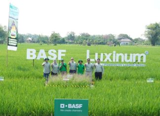 BASF Indonesia Luncurkan Herbisida Pratumbuh Luxinum® Di Madiun
