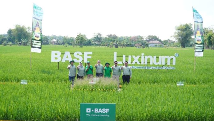 BASF Melakukan Peluncuran Luxinum di Madiun