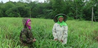 Pertamina Bina UMKM DDistillers, Ubah Lahan Kritis Jadi Lapangan Kerja untuk Lebih dari 2.000 Warga Desa