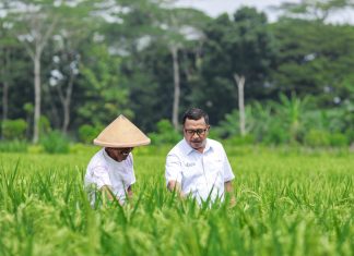 Hari Tani Nasional 2025 : Pupuk Kaltim Perkuat Dukungan pada Pertanian Berkelanjutan Lewat Agrosolution