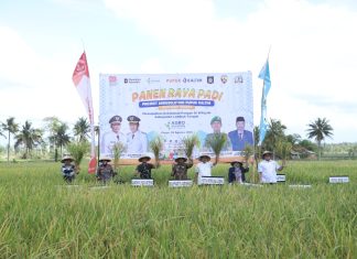 Pupuk Kaltim Perluas Agrosolution di Lombok Tengah, Hasil Padi Naik 30 Persen