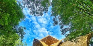 Solo Safari, Bukti Inovasi yang Menghidupkan Kembali Ikon Kota