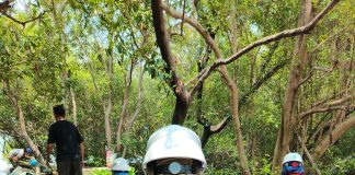 TPS Perkuat Komitmen ESG melalui Pelestarian Ekosistem Mangrove Sejak 2010