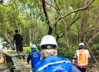 TPS Perkuat Komitmen ESG melalui Pelestarian Ekosistem Mangrove Sejak 2010