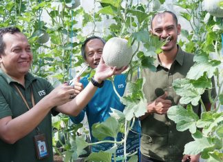 Mendorong Inovasi dalam Pertanian, ITS Luncurkan Sistem Aquaponik Pintar