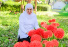 Gubernur Khofifah Kagumi Pesona Bunga Desember, Flora Langka Kebanggaan  Bondowoso