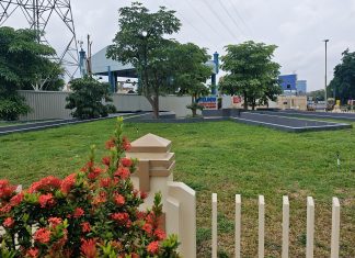 PT Terminal Petikemas Surabaya Perluas Ruang Terbuka Hijau, Perkuat Ekosistem Pelabuhan yang Berkelanjutan