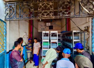 Terminal Teluk Lamong Fasilitasi Transfer Ilmu Budidaya Kepiting Soka Antar Kelompok Nelayan Kota Surabaya