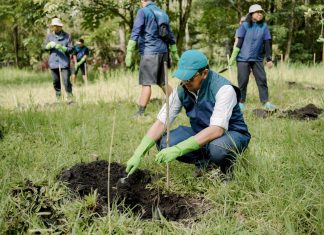 PT Terminal Petikemas Surabaya Tanam 120 Bibit Pohon Pinus, di Coban Talun sebagai Komitmen Pelestarian Lingkungan