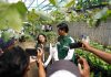 Sukses Kembangkan Kawasan Agroeduwisata Anggur di Kediri, Program TJSL PLN UIT JBM Berhasil Tembus Nominator TOP CSR Award 2026