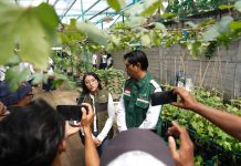 Sukses Kembangkan Kawasan Agroeduwisata Anggur di Kediri, Program TJSL PLN UIT JBM Berhasil Tembus Nominator TOP CSR Award 2026