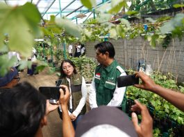 Sukses Kembangkan Kawasan Agroeduwisata Anggur di Kediri, Program TJSL PLN UIT JBM Berhasil Tembus Nominator TOP CSR Award 2026