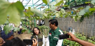 Sukses Kembangkan Kawasan Agroeduwisata Anggur di Kediri, Program TJSL PLN UIT JBM Berhasil Tembus Nominator TOP CSR Award 2026