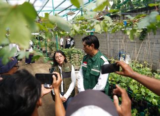 Sukses Kembangkan Kawasan Agroeduwisata Anggur di Kediri, Program TJSL PLN UIT JBM Berhasil Tembus Nominator TOP CSR Award 2026