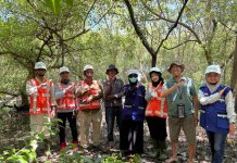 Keberlanjutan Ekosistem Pesisir dan Manfaat Dekarbonisasi di Pelabuhan Tanjung Perak sebagai Buah Pelestarian Mangrove