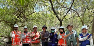 Keberlanjutan Ekosistem Pesisir dan Manfaat Dekarbonisasi di Pelabuhan Tanjung Perak sebagai Buah Pelestarian Mangrove