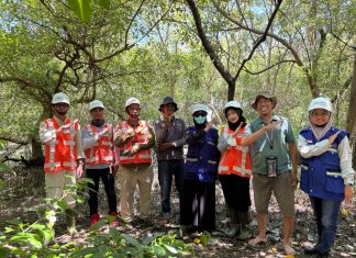 Keberlanjutan Ekosistem Pesisir dan Manfaat Dekarbonisasi di Pelabuhan Tanjung Perak sebagai Buah Pelestarian Mangrove